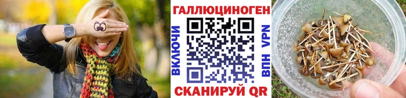 купить   Абдулино  Галлюциногенные грибы ЛСД 